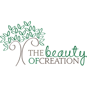 The Beauty of Creation books